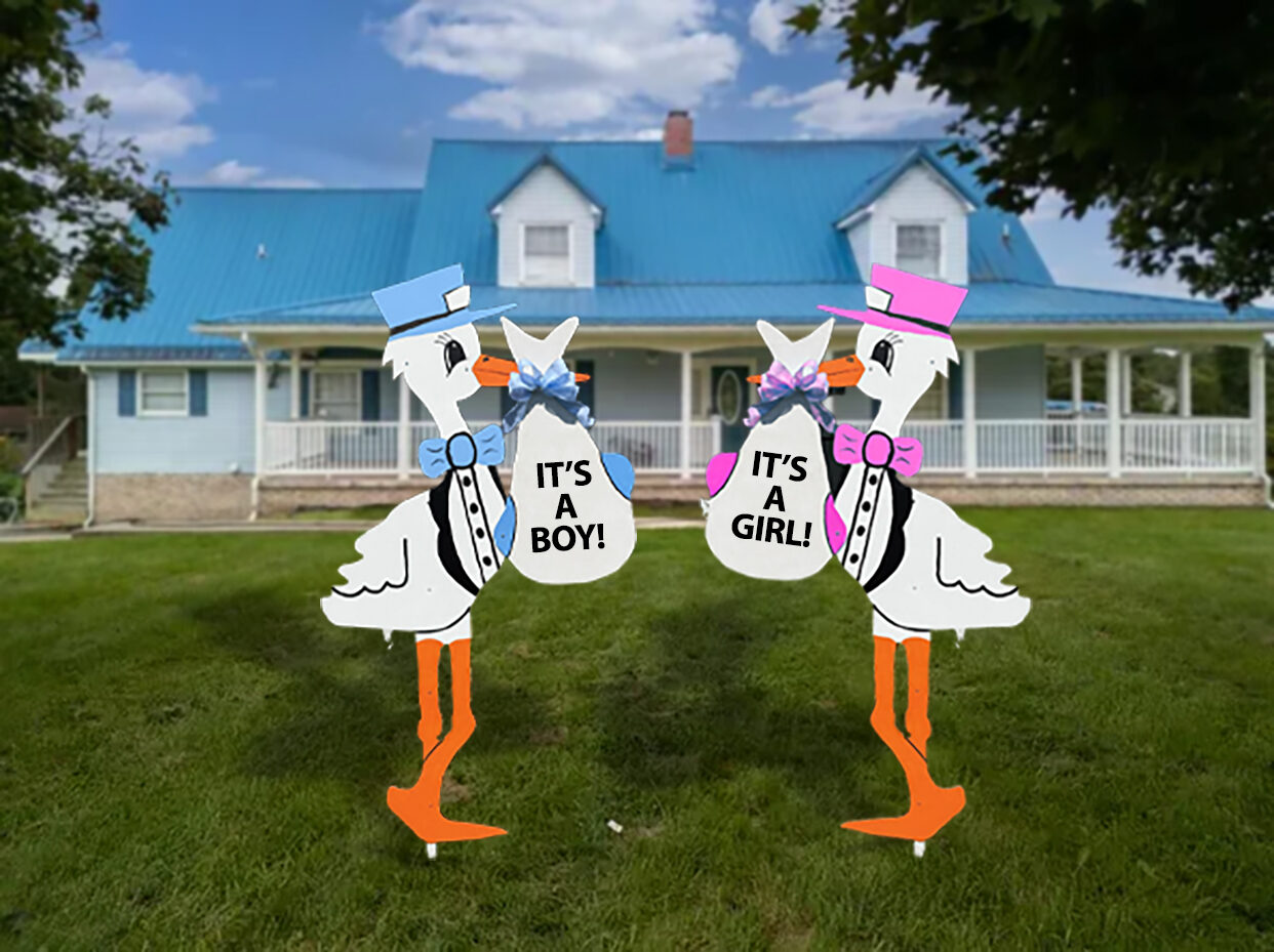 A blue and a pink stork sign side by side, reading It's a Boy and It's a Girl.